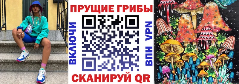 Галлюциногенные грибы Psilocybine cubensis  Купить где  Киренск 